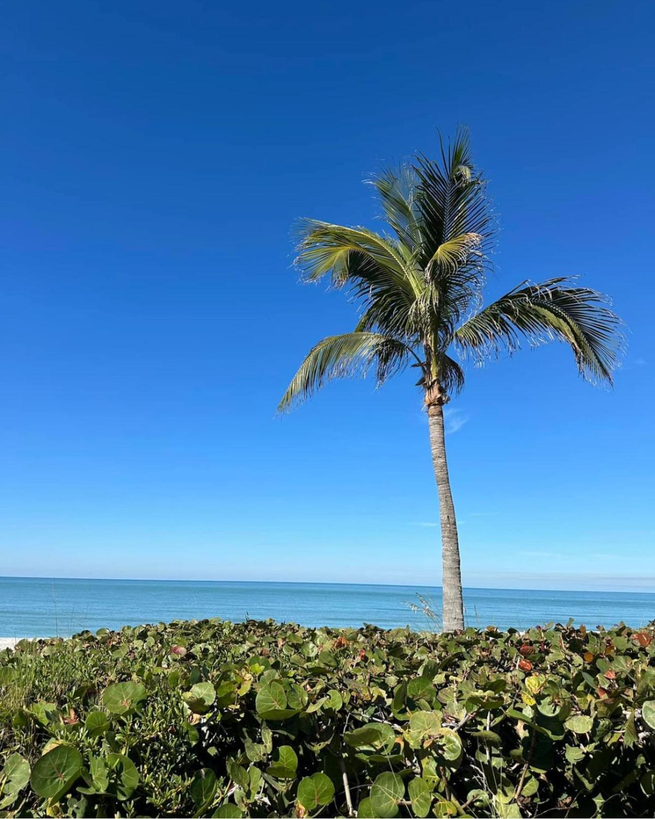 Captiva Bayside Villas 1 Bedroom 2 Bath - Sleep 4 Captiva Island Exteriör bild